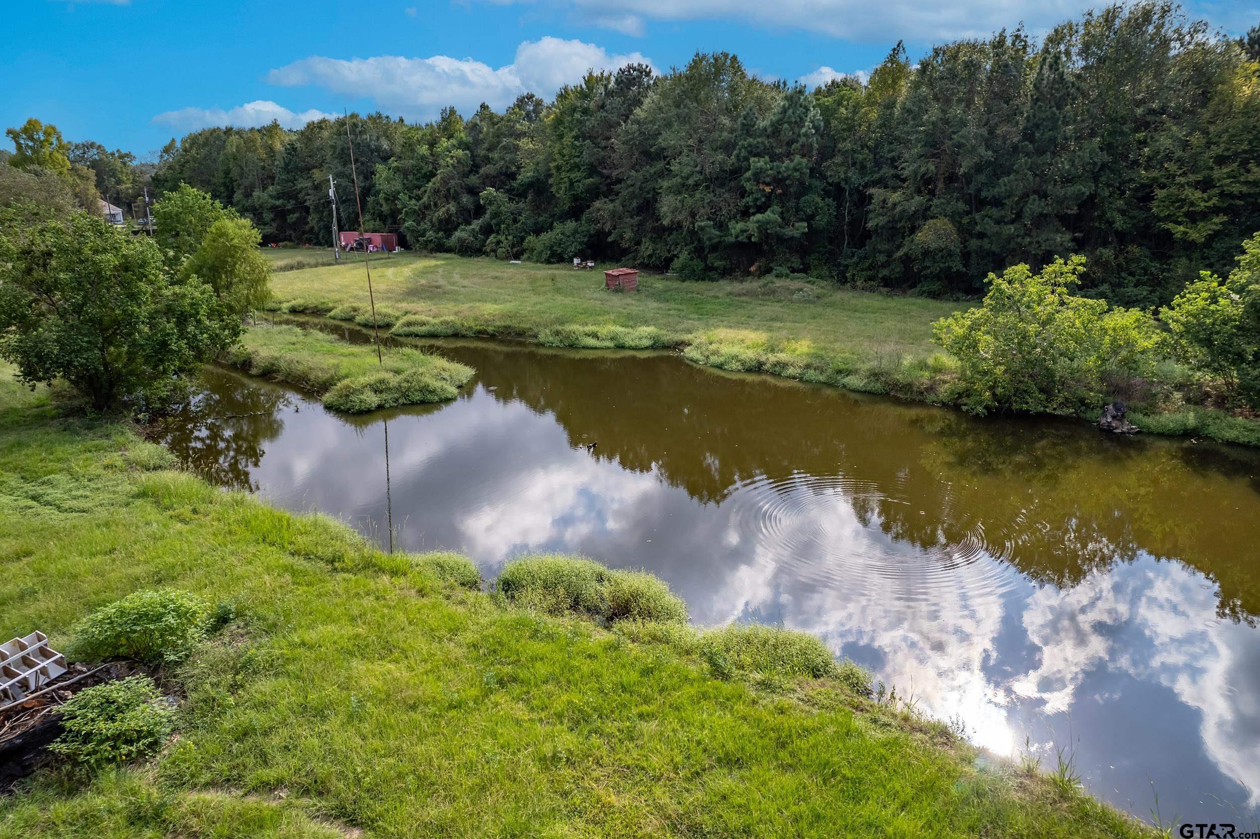2888 Farm To Market Road 999 Gary, TX 75643 - Photo 41 of 46 a view of a lake with a yard