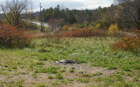 Allen Road Morganton, GA 30560 - Photo 1 of 1 Main View