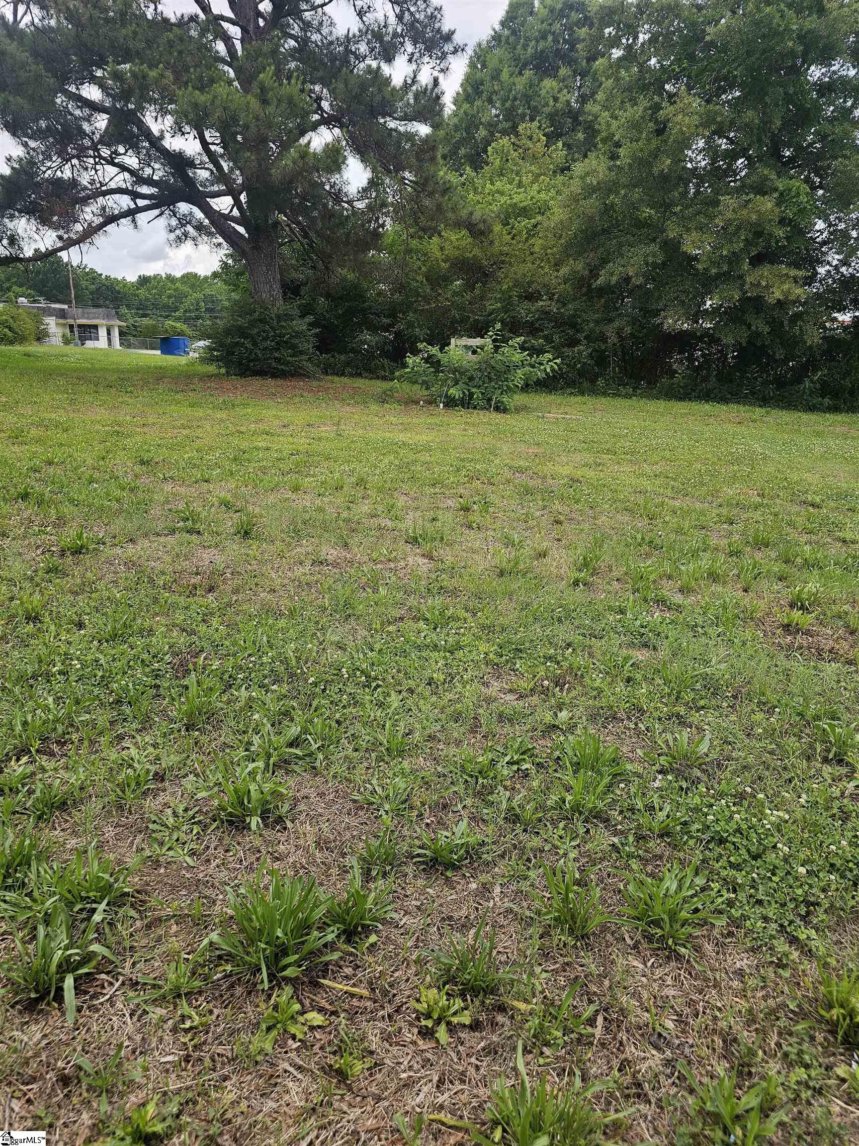 201-203 Dillon Drive Clinton, SC 29325 - Photo 2 of 2