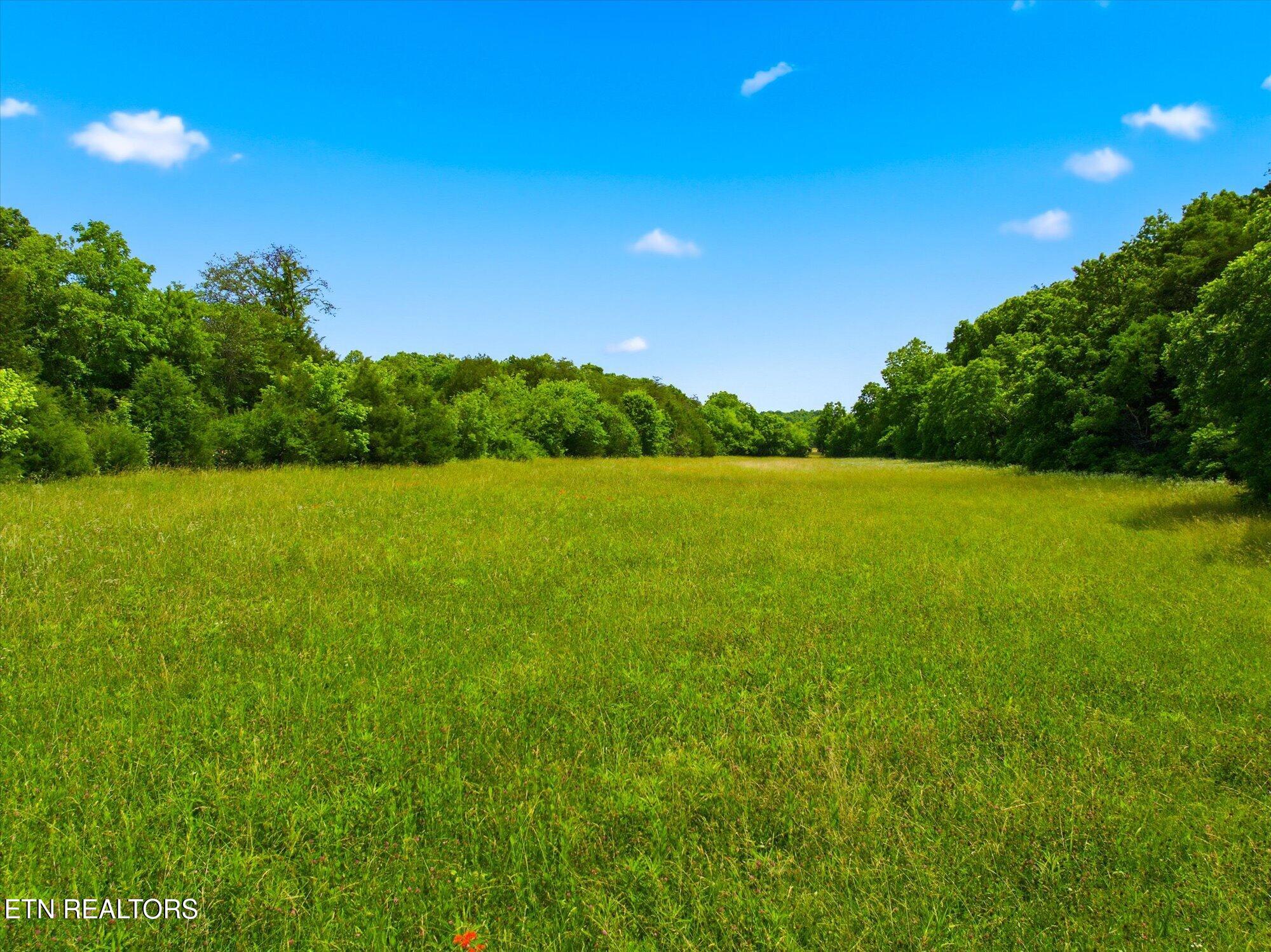 140 Donahue Road Luttrell, TN 37779 - Photo 22 of 36 22-140-Donahue-Rd-Luttrell-TN-22