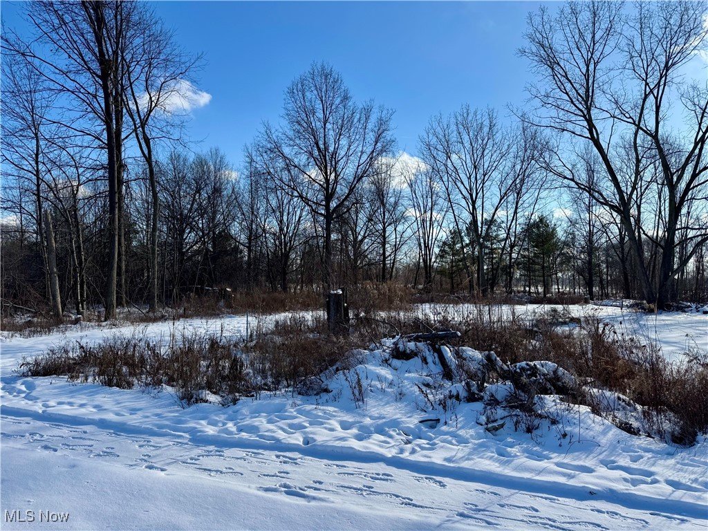 31857 Avon Road Avon, OH 44011 - Photo 5 of 6