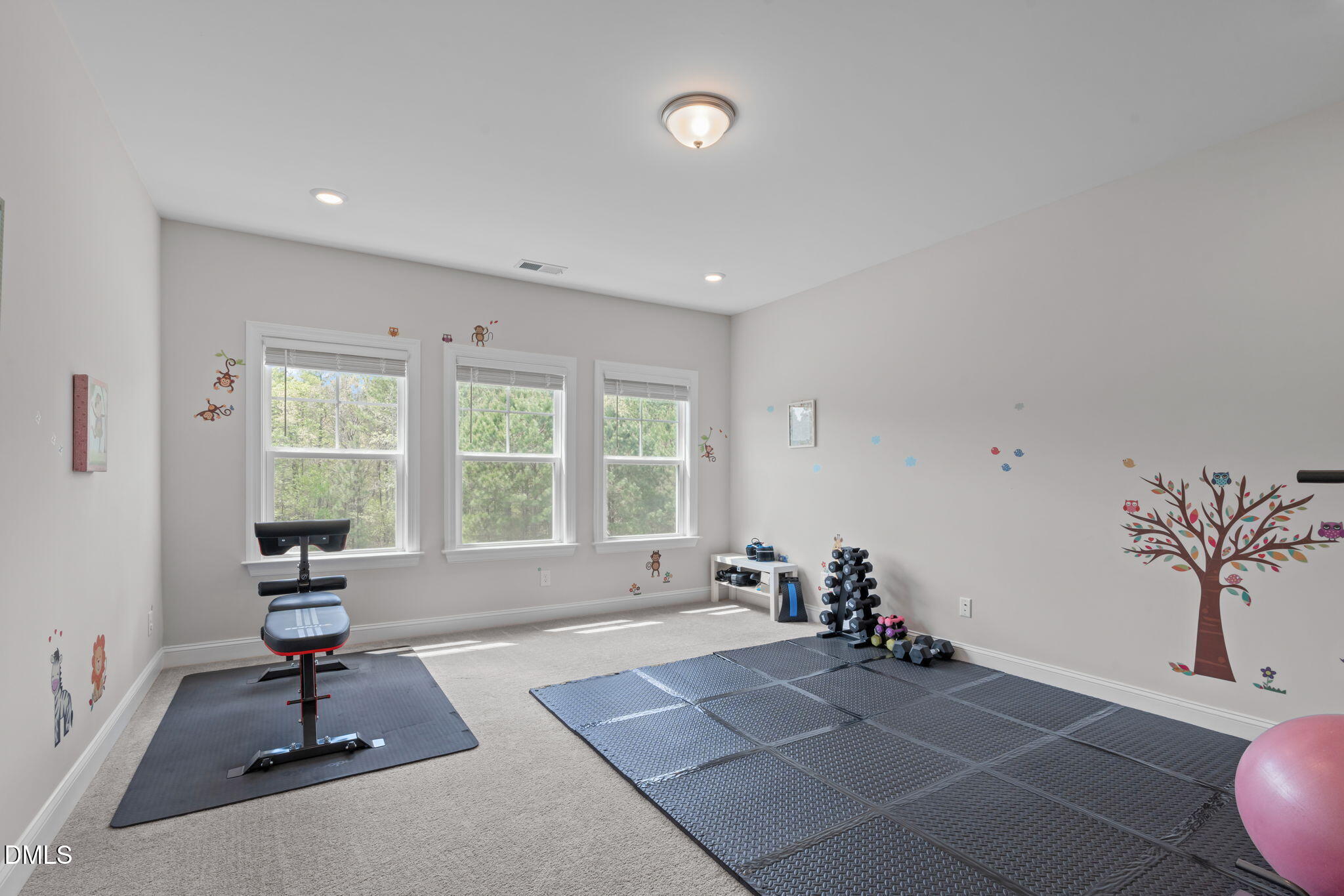 381 High Woods Ridge Pittsboro, NC 27312 - Photo 28 of 51 A-38