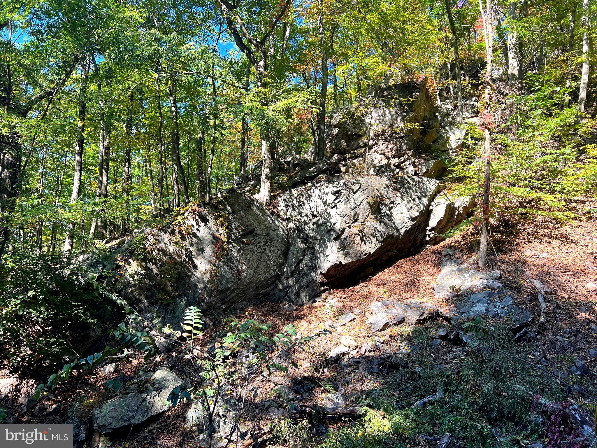 1604 High Knob Road Old Fields, WV 26845 - Photo 85 of 113