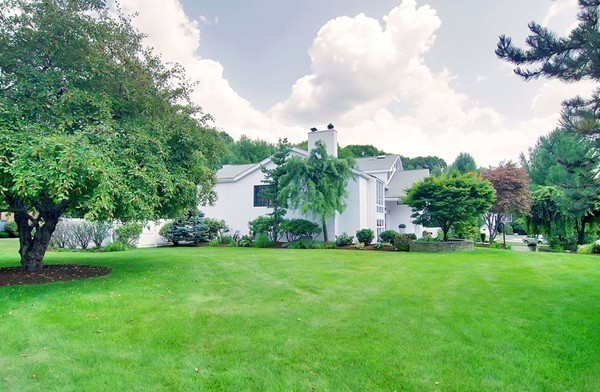 10 Patten Circle Newton, MA 02459 - Photo 26 of 26 a view of a house with a big yard and a large trees