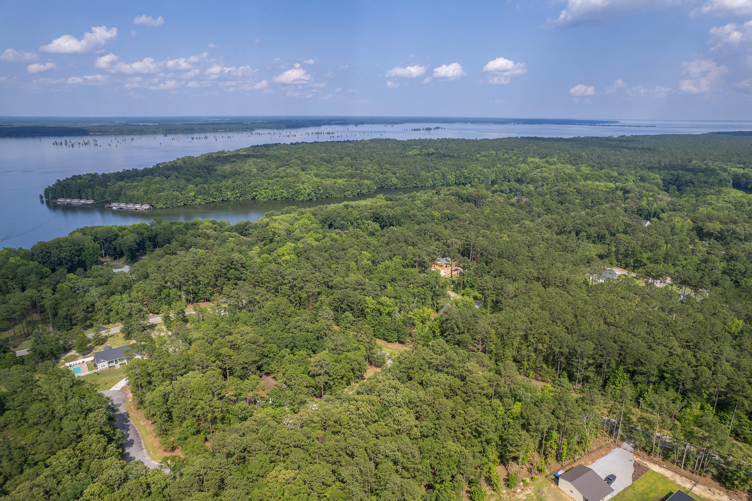 0 Breezewood Court Elloree, SC 29047 - Photo 23 of 28