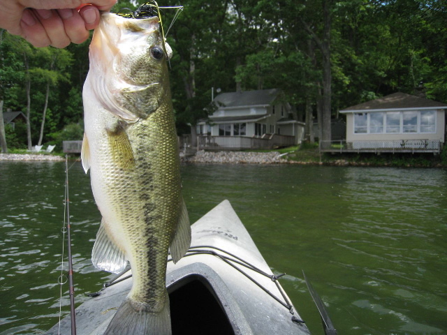 16 Laurel Banks Road Monterey, MA 01230 - Photo 4 of 5 VIEW THROUGH FRESH CATCH