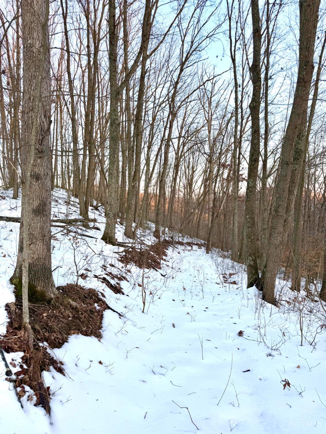 0 Carrs Run Beaver, OH 45613 - Photo 41 of 66