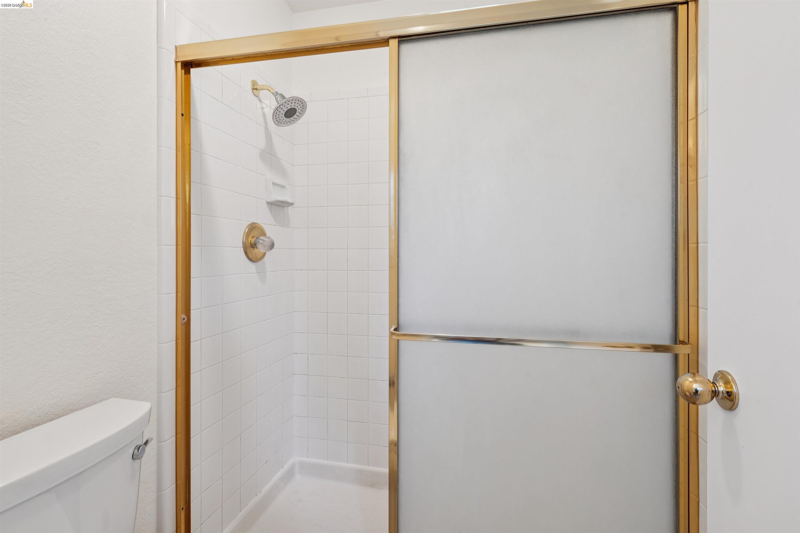 261 Redhawk Road Novato, CA 94949 - Photo 34 of 44 Shower enclosure featuring gold-tone framing and frosted glass sliding doors