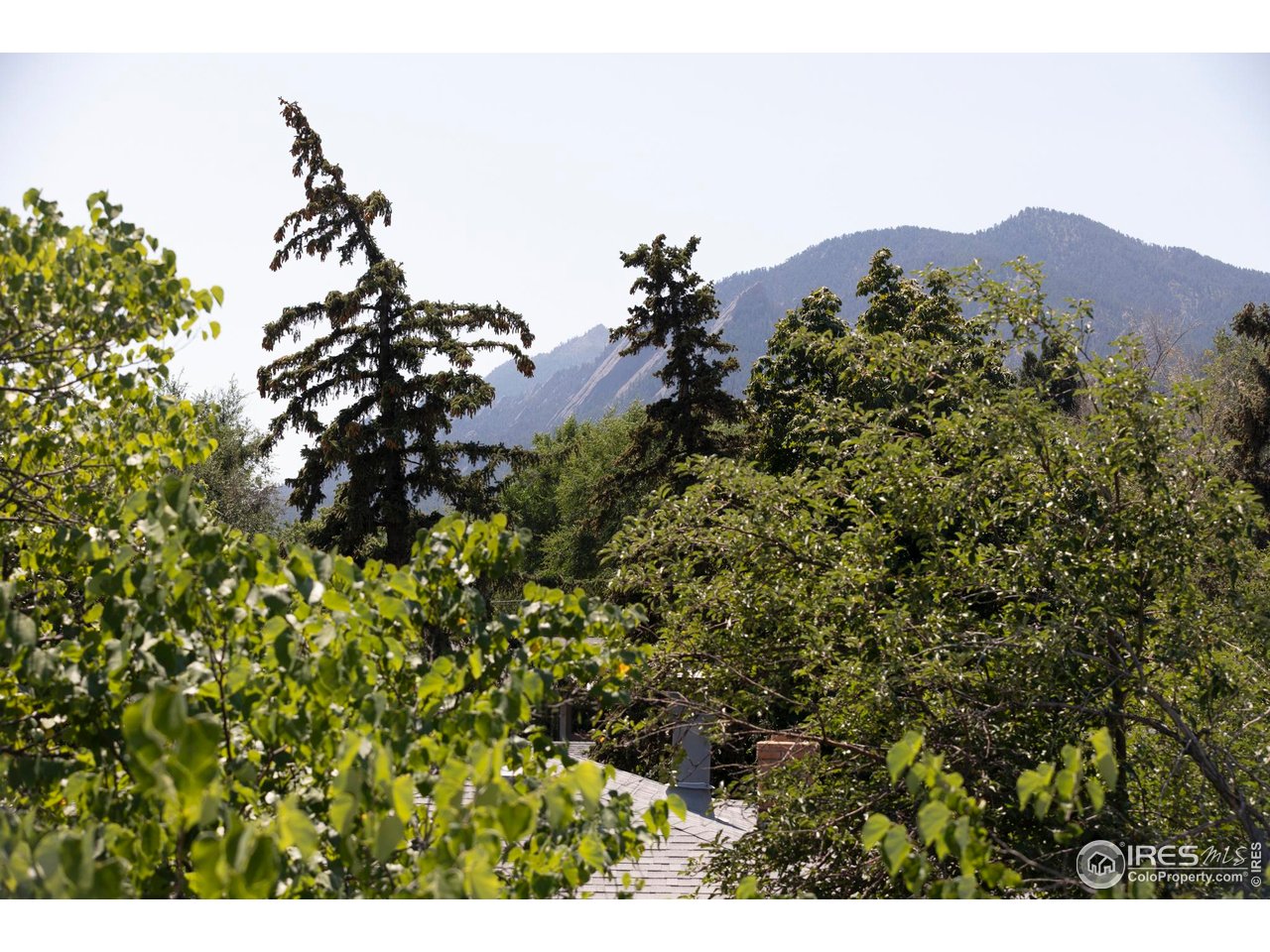 2670 6th Street Boulder, CO 80304 - Photo 29 of 30 a view of a tree in a field