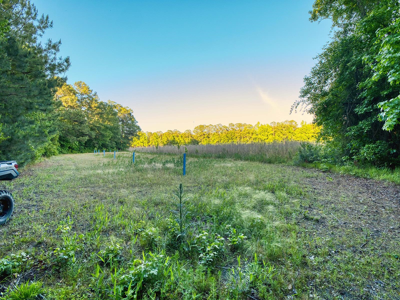 Tbd Tbd Chair Road Hemingway, SC 29554 - Photo 24 of 37