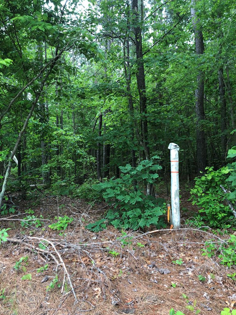 Brunswick Road Blackstone, VA 23824 - Photo 5 of 6 Gallery Image 5