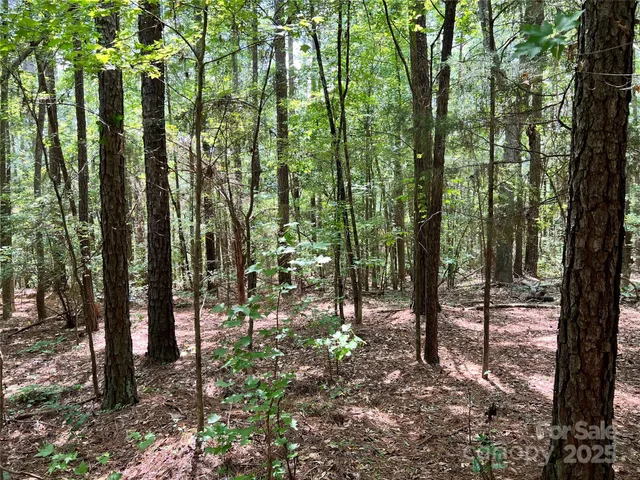 a view of outdoor space and garden