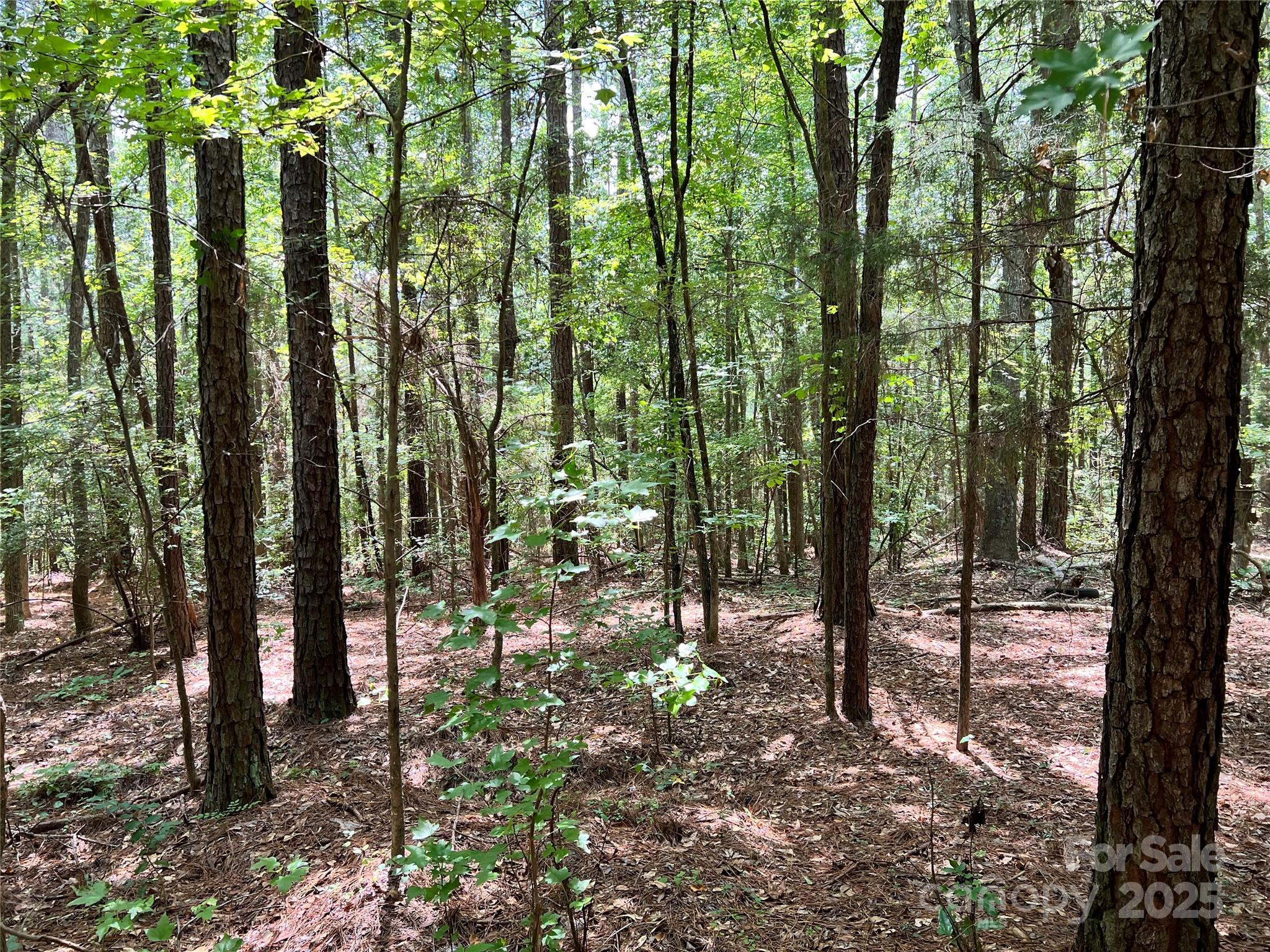 Lot 7-8 Highway 215, Unit SOUTH Jenkinsville, SC 29065 - Photo 12 of 23 a view of outdoor space and garden
