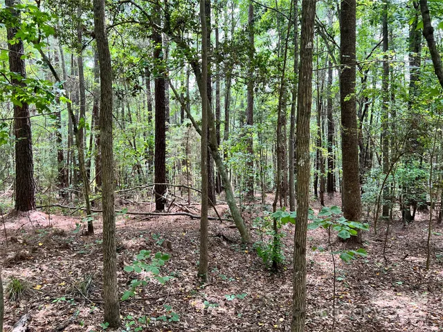 a view of outdoor space and green space