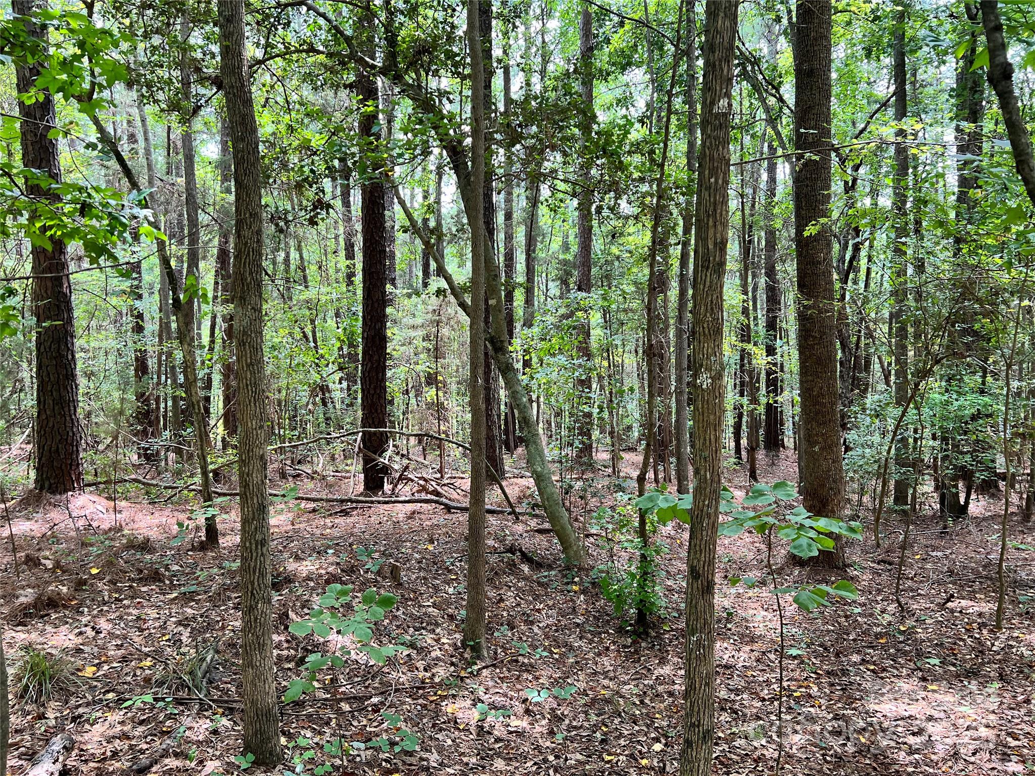 Lot 7-8 Highway 215, Unit SOUTH Jenkinsville, SC 29065 - Photo 14 of 23 a view of outdoor space and green space