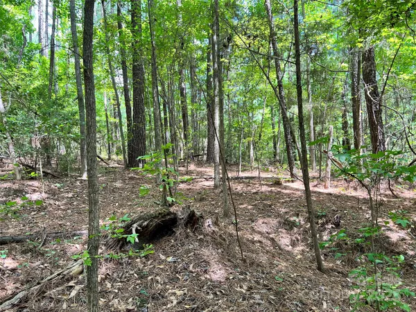 a view of outdoor space and trees