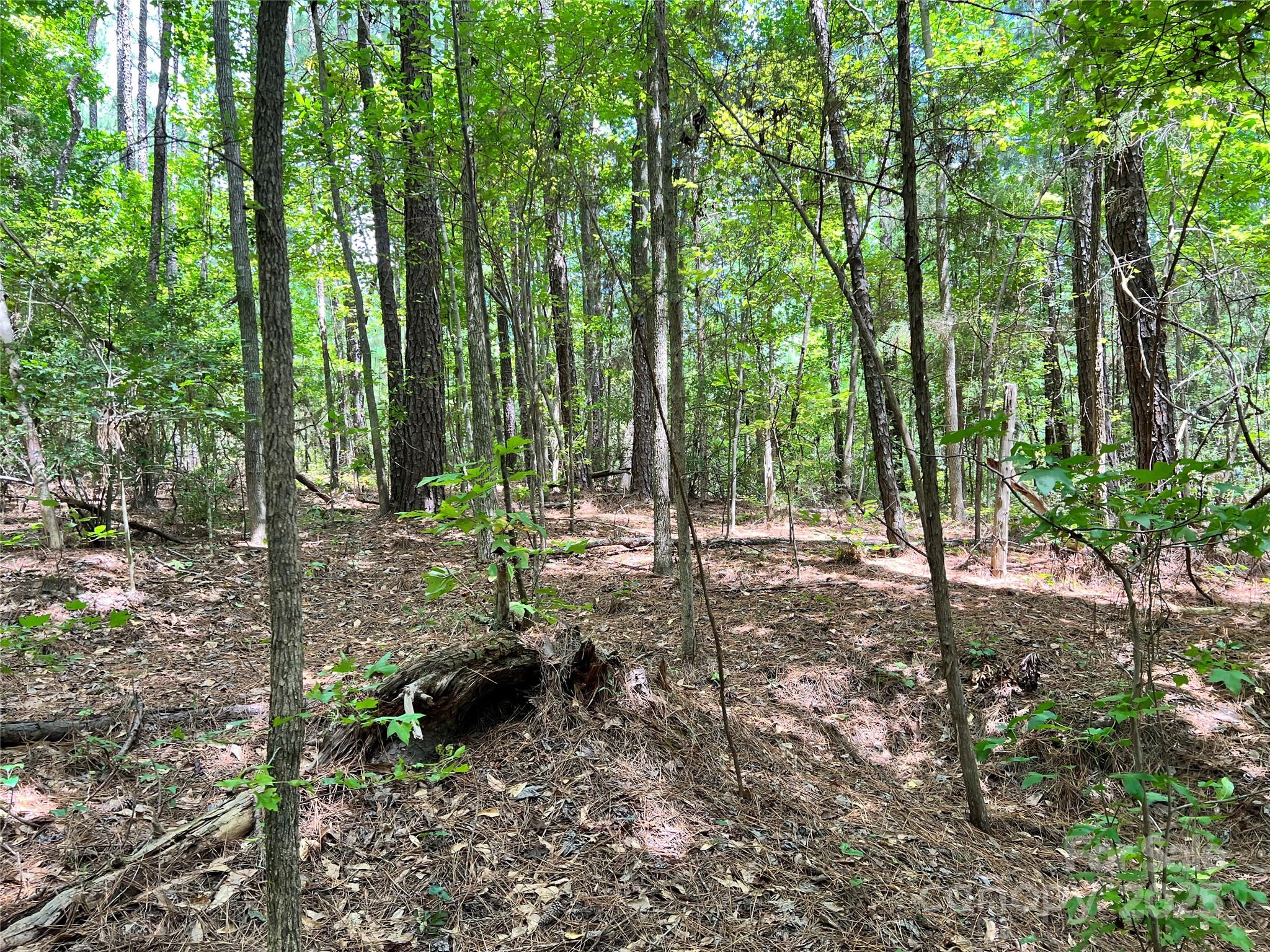 Lot 7-8 Highway 215, Unit SOUTH Jenkinsville, SC 29065 - Photo 16 of 23 a view of outdoor space and trees