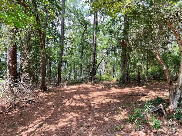 a view of outdoor space with trees