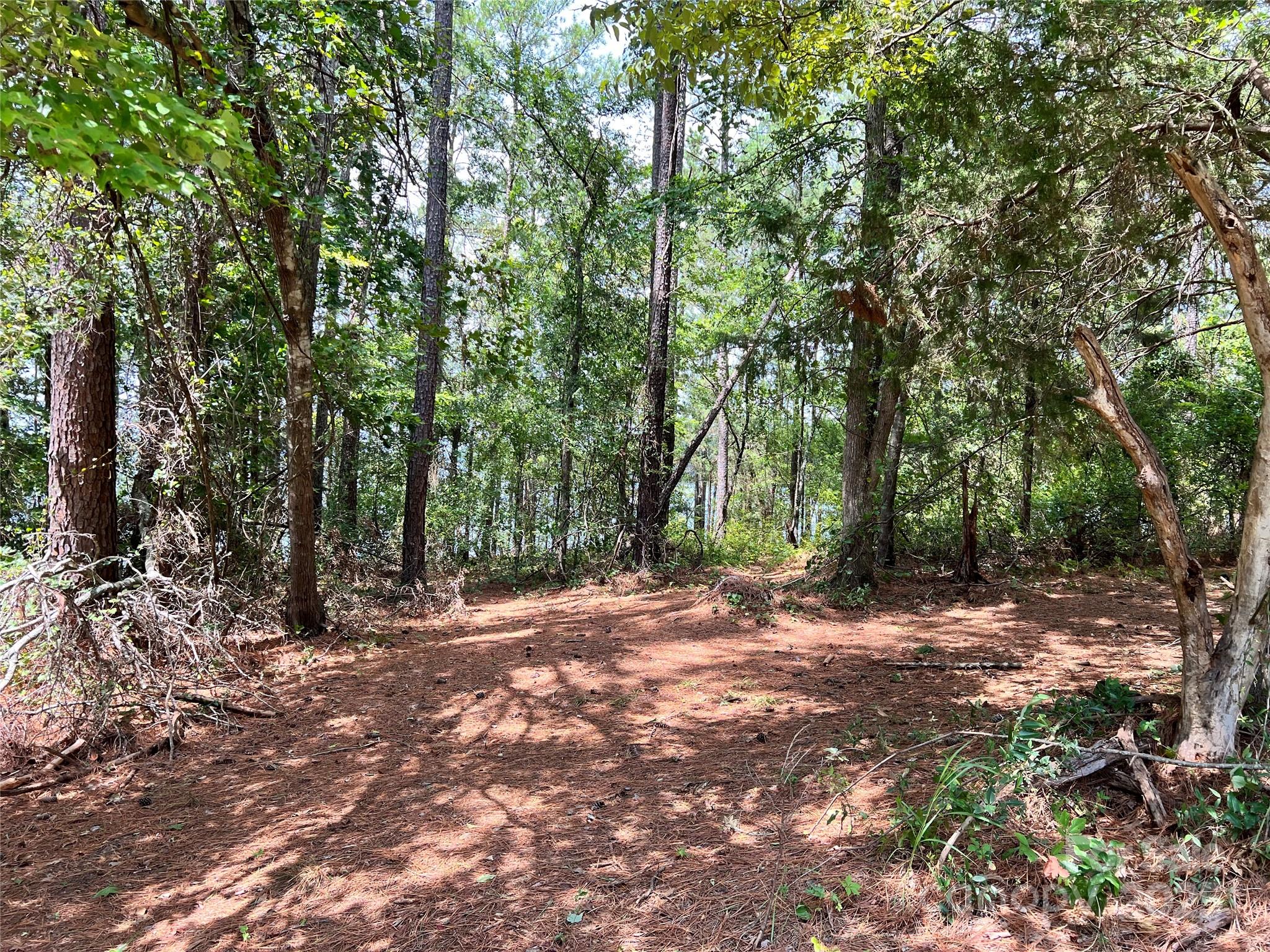 Lot 7-8 Highway 215, Unit SOUTH Jenkinsville, SC 29065 - Photo 18 of 23 a view of outdoor space with trees