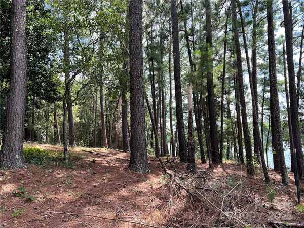 a view of outdoor space with lots of trees