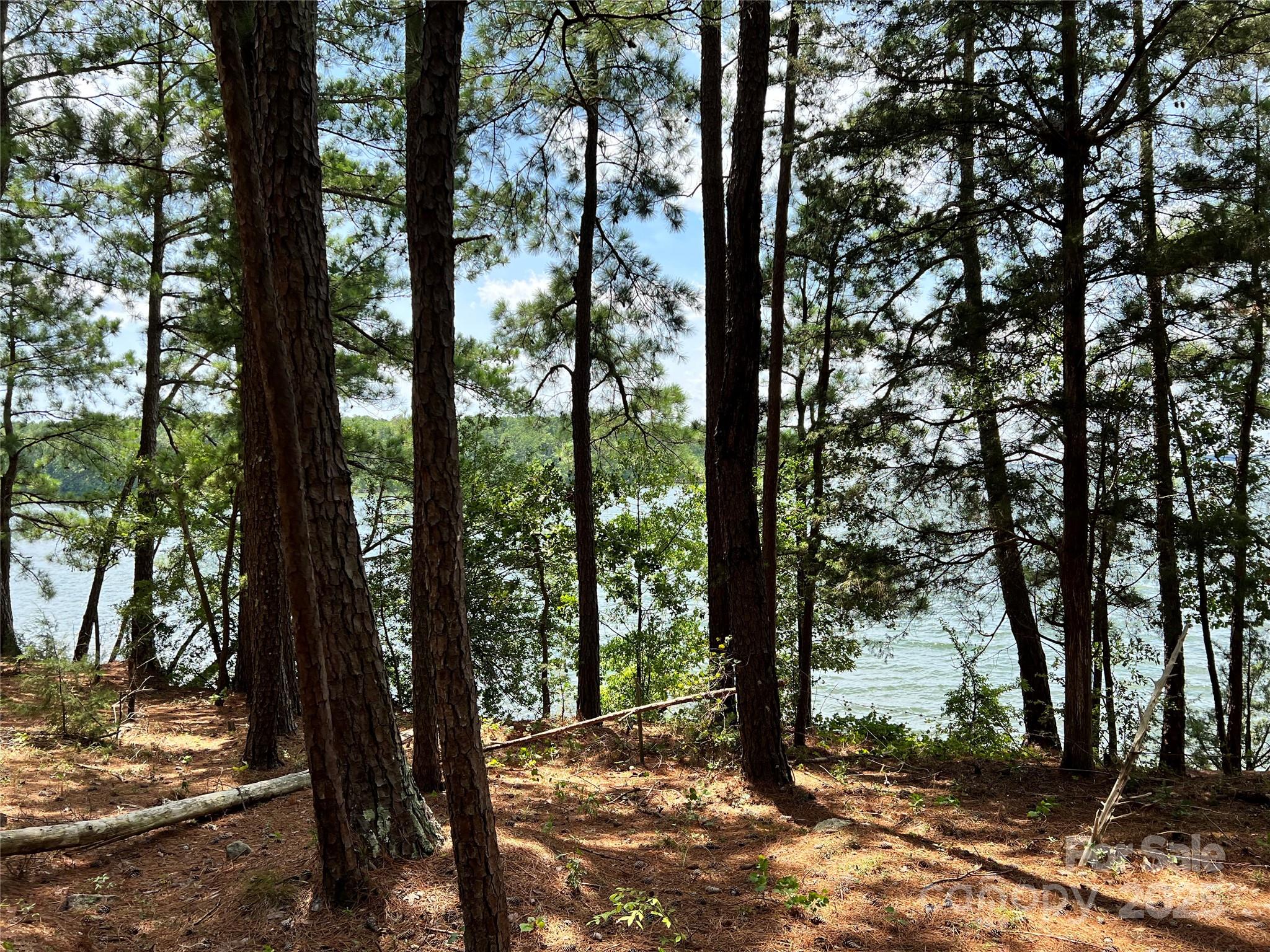 Lot 7-8 Highway 215, Unit SOUTH Jenkinsville, SC 29065 - Photo 21 of 23 a view of outdoor space and yard