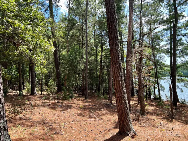a view of outdoor space with lots of trees