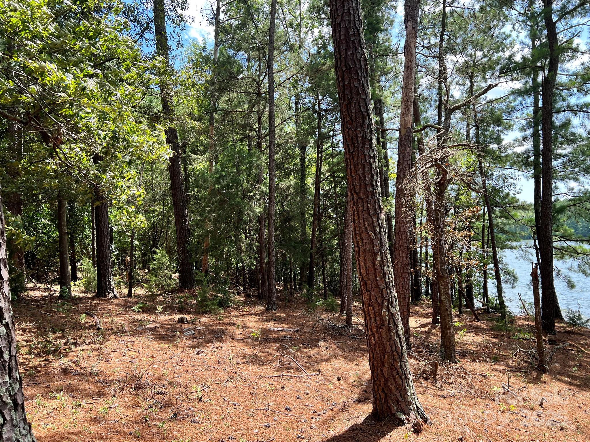 Lot 7-8 Highway 215, Unit SOUTH Jenkinsville, SC 29065 - Photo 22 of 23 a view of outdoor space with lots of trees