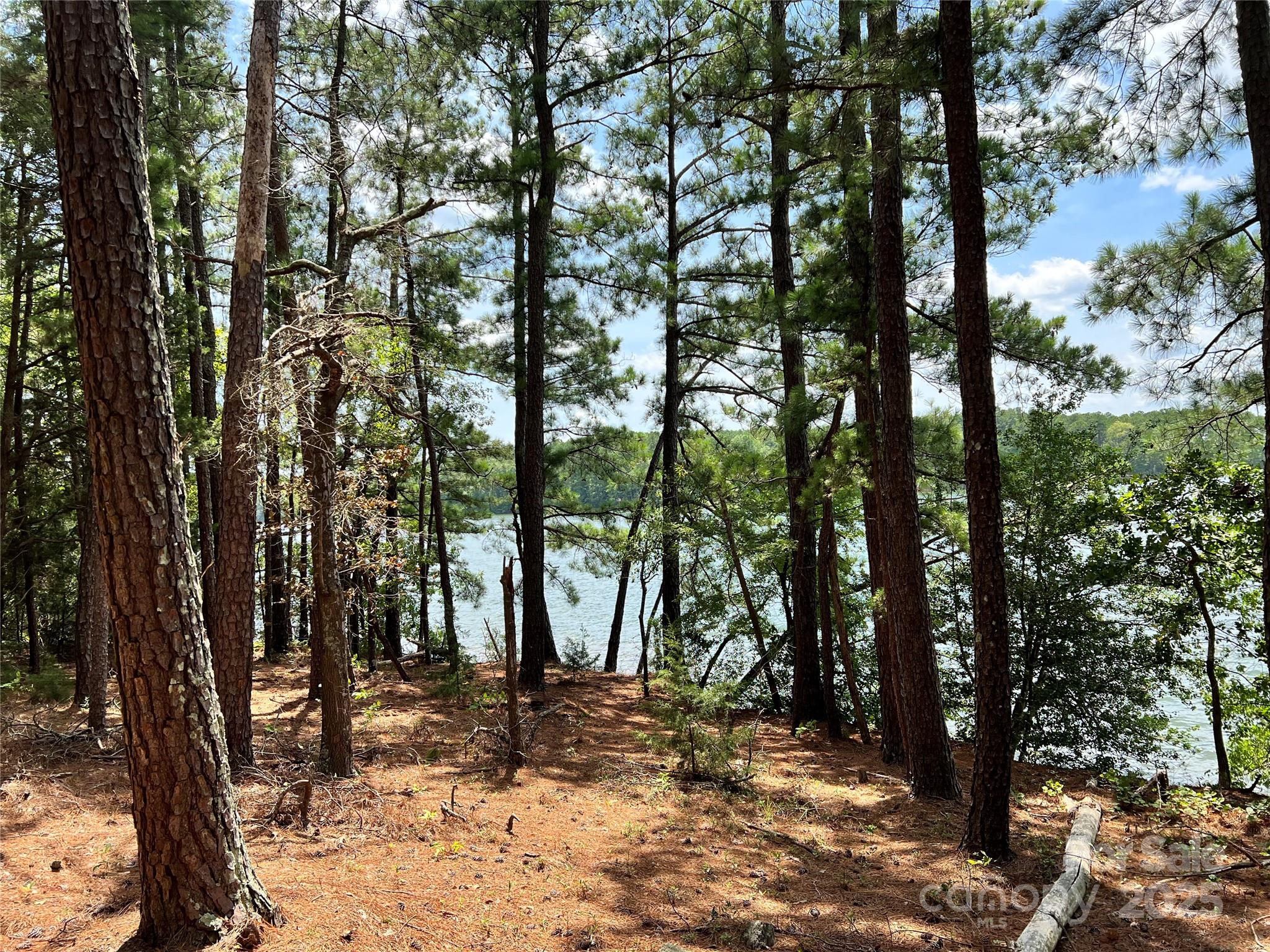 Lot 7-8 Highway 215, Unit SOUTH Jenkinsville, SC 29065 - Photo 23 of 23 a view of a forest with trees