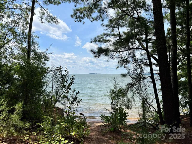 a view of a top of a lake with a tree