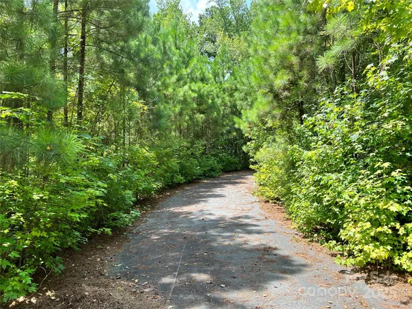 a view of a pathway both side of yard