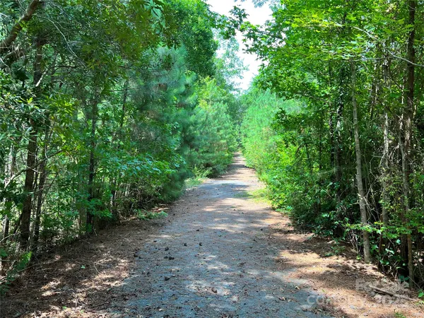 a view of a pathway both side of yard