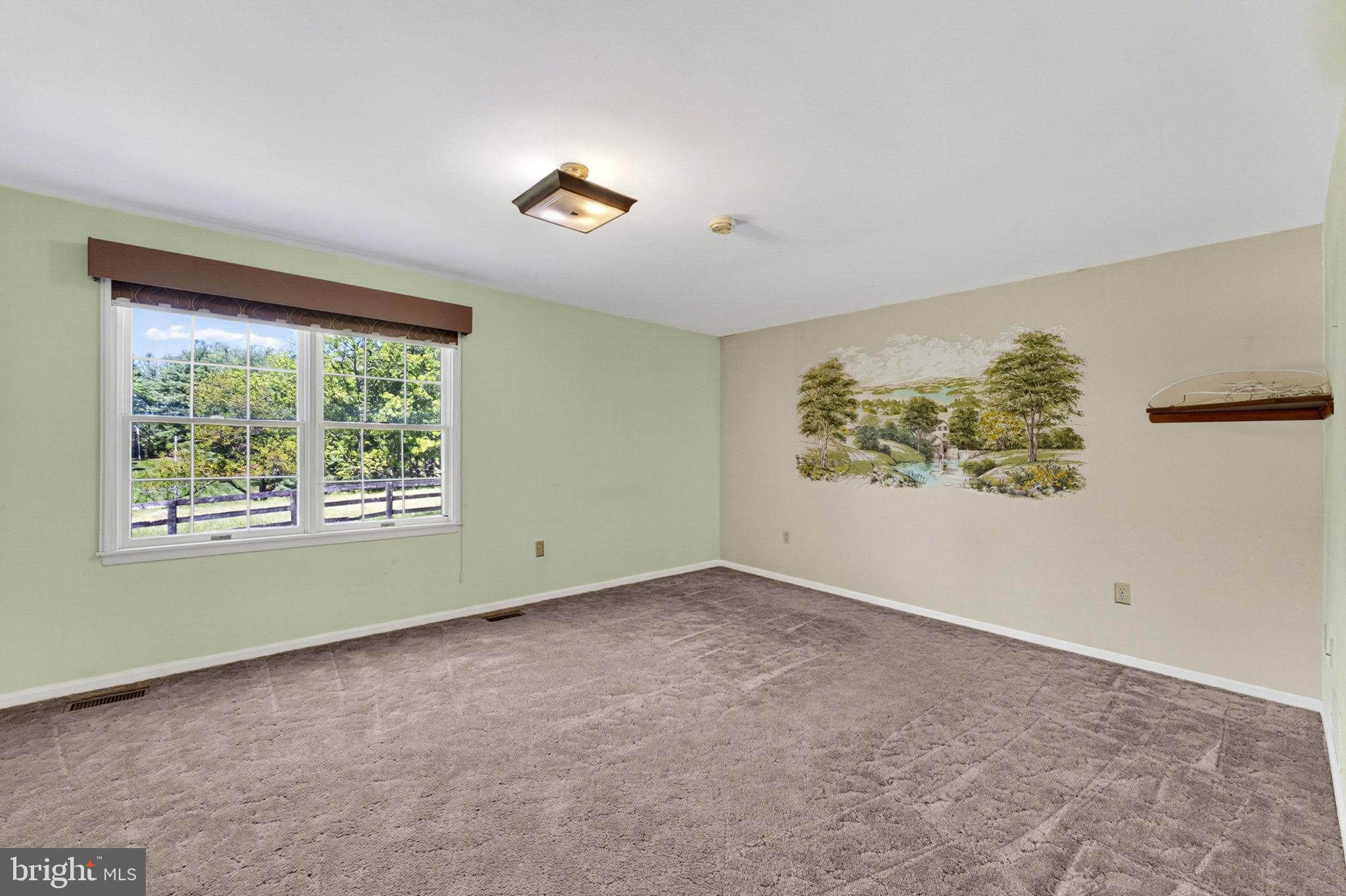 40297 Braddock Road Aldie, VA 20105 - Photo 29 of 76 Bedroom 1