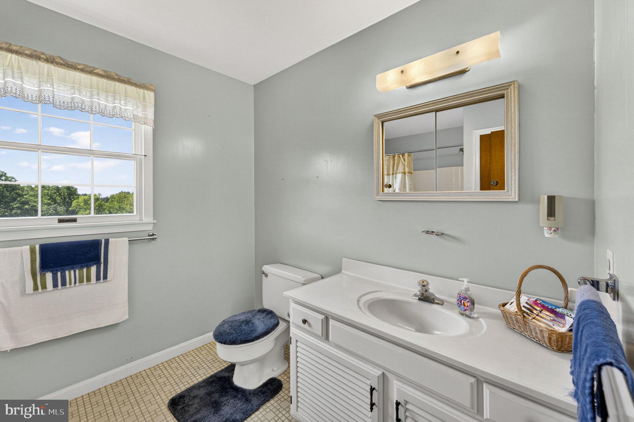 40297 Braddock Road Aldie, VA 20105 - Photo 50 of 76 Full Bathroom 3