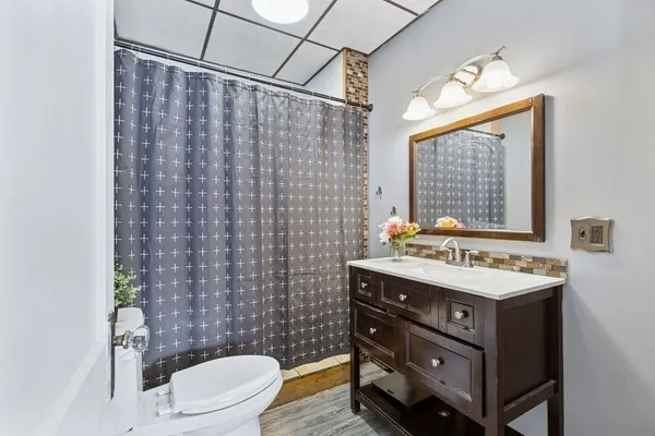 a bathroom with a sink a toilet and shower curtain