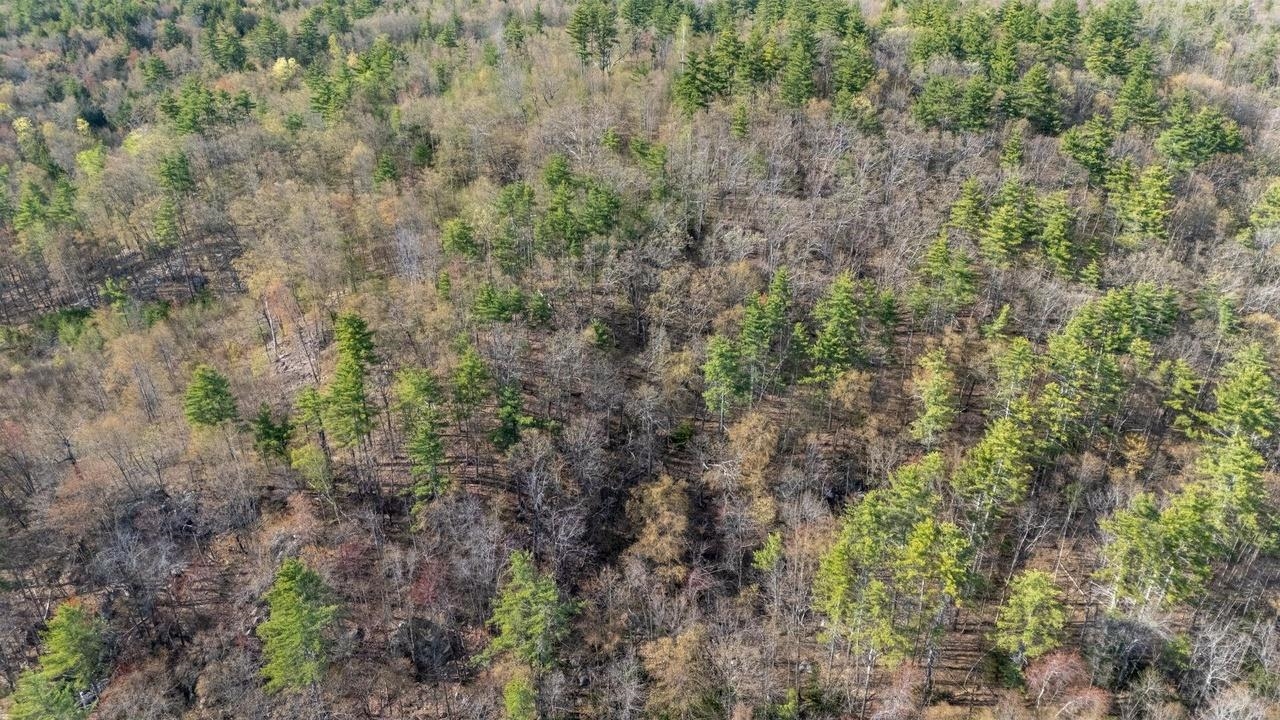 0 North Candia Road Hooksett, NH 03106 - Photo 11 of 21