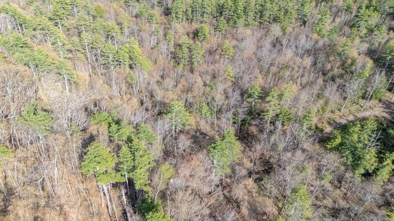 0 North Candia Road Hooksett, NH 03106 - Photo 14 of 21