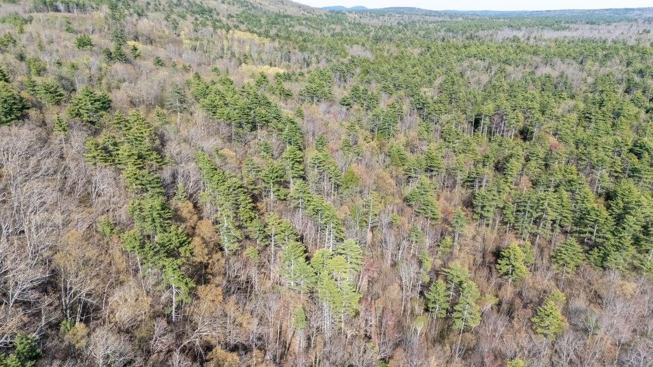 0 North Candia Road Hooksett, NH 03106 - Photo 10 of 21