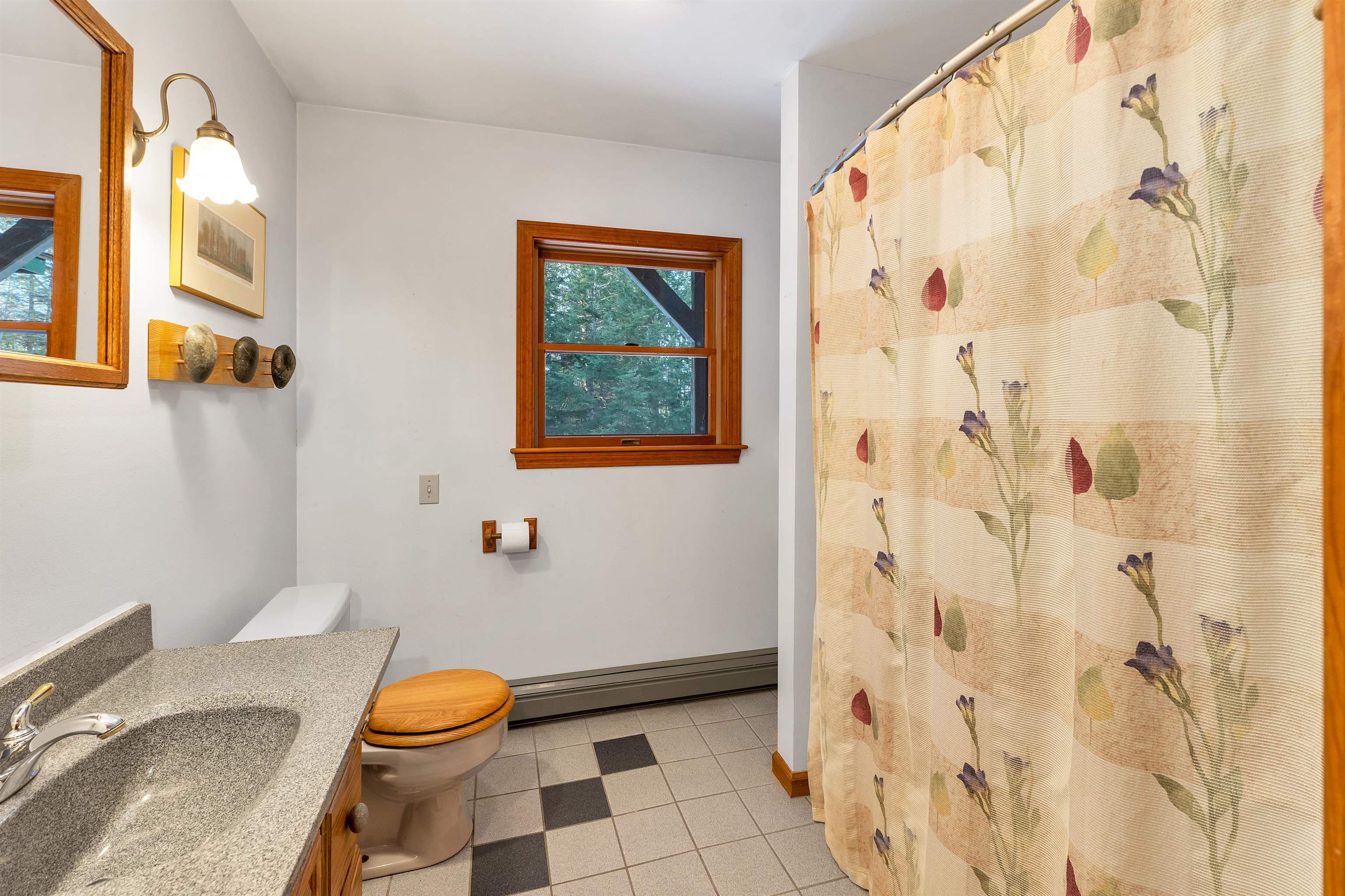 769 Deer Hill Road Madison, NH 03875 - Photo 28 of 40
