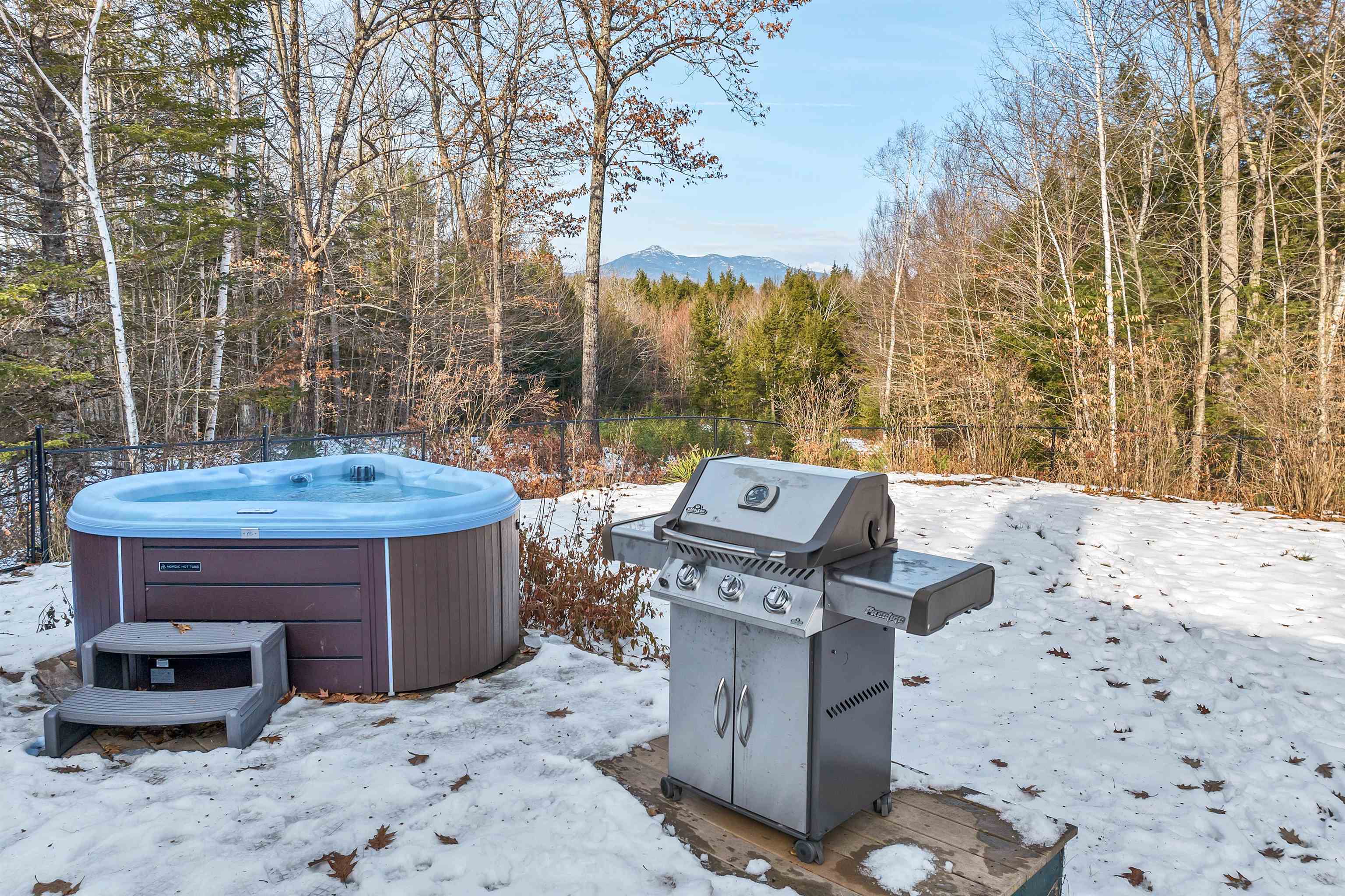769 Deer Hill Road Madison, NH 03875 - Photo 38 of 40