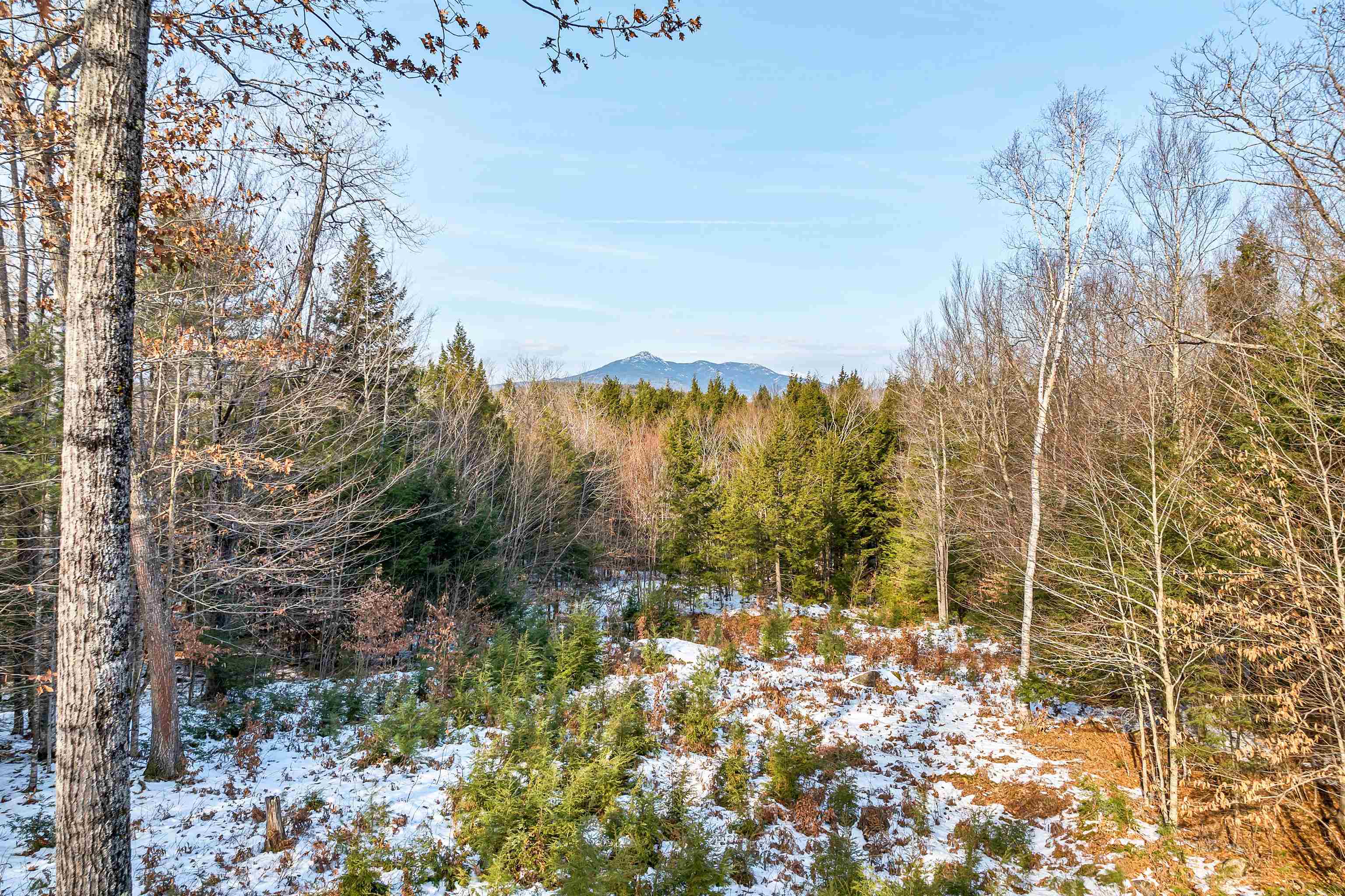769 Deer Hill Road Madison, NH 03875 - Photo 39 of 40