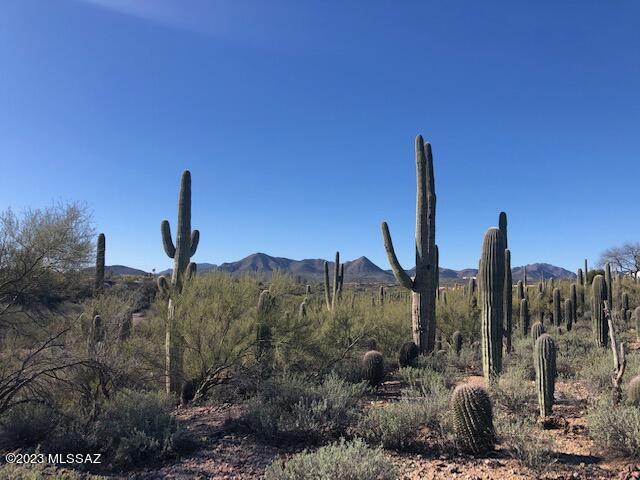 2741 North Shannon Road Tucson, AZ 85745 - Photo 1 of 7 Gallery Image 1