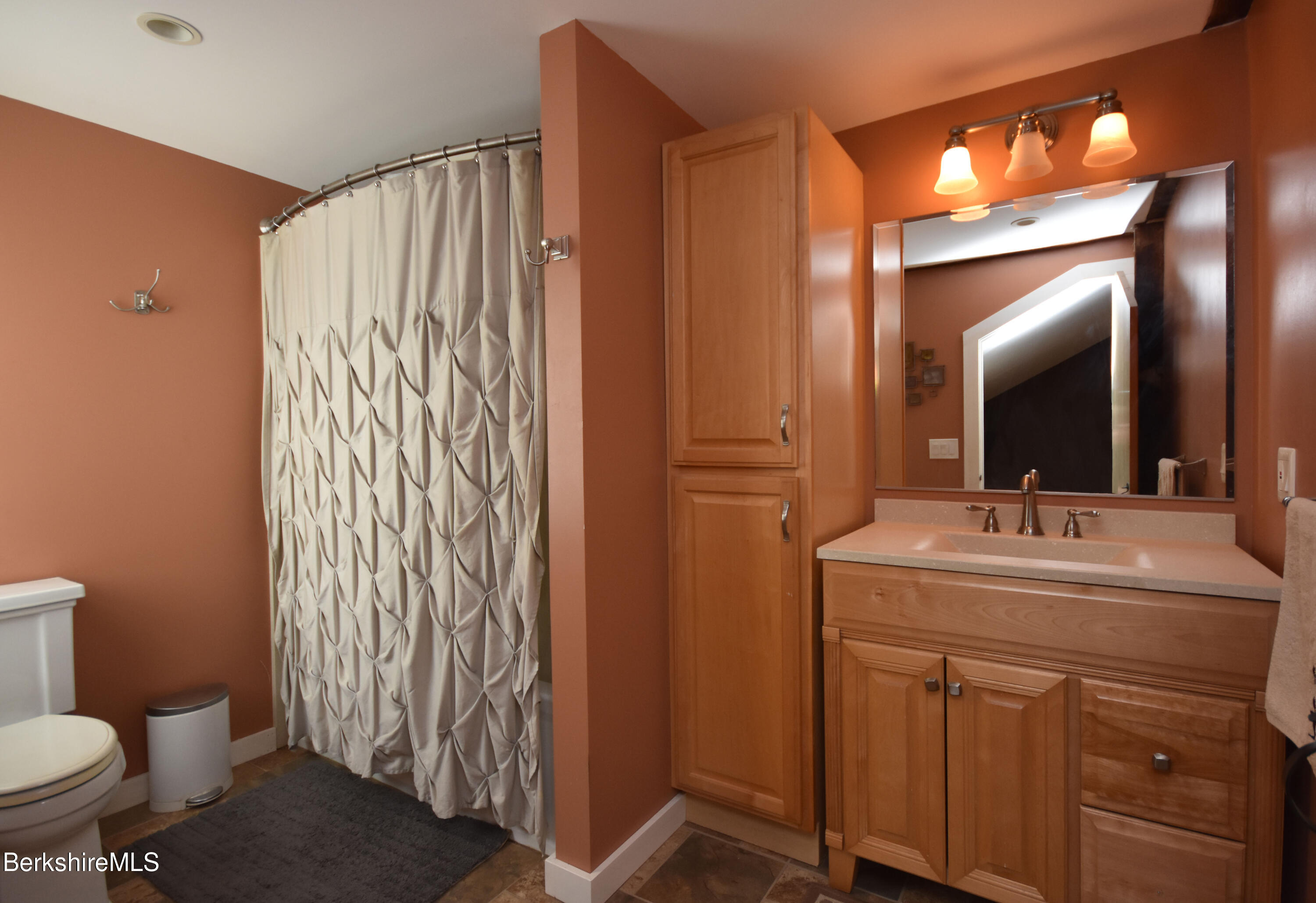 110 Tyringham Road Lee, MA 01238 - Photo 31 of 60 a bathroom with a sink a toilet and shower