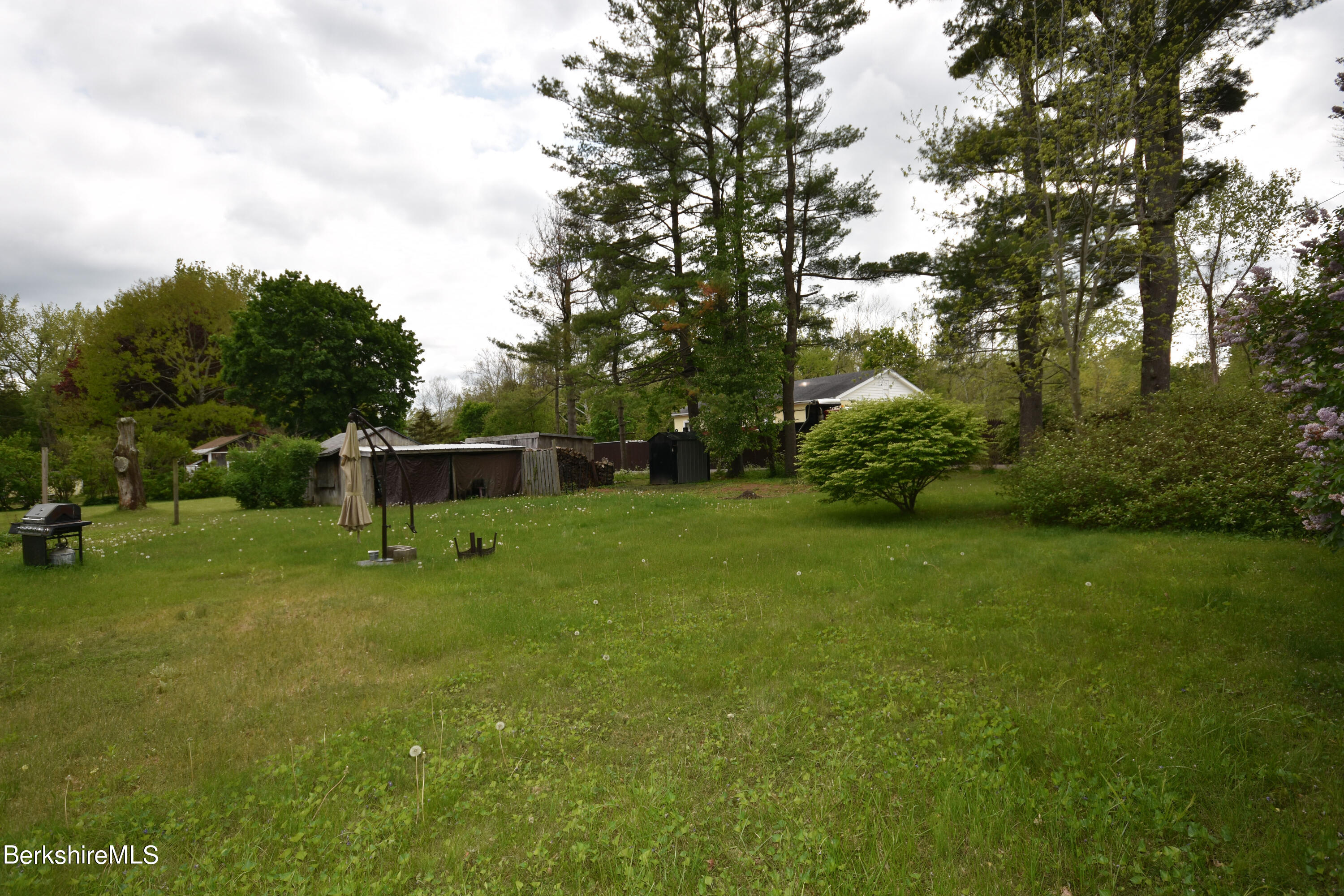 110 Tyringham Road Lee, MA 01238 - Photo 56 of 60 a fire hydrant in the middle of a field