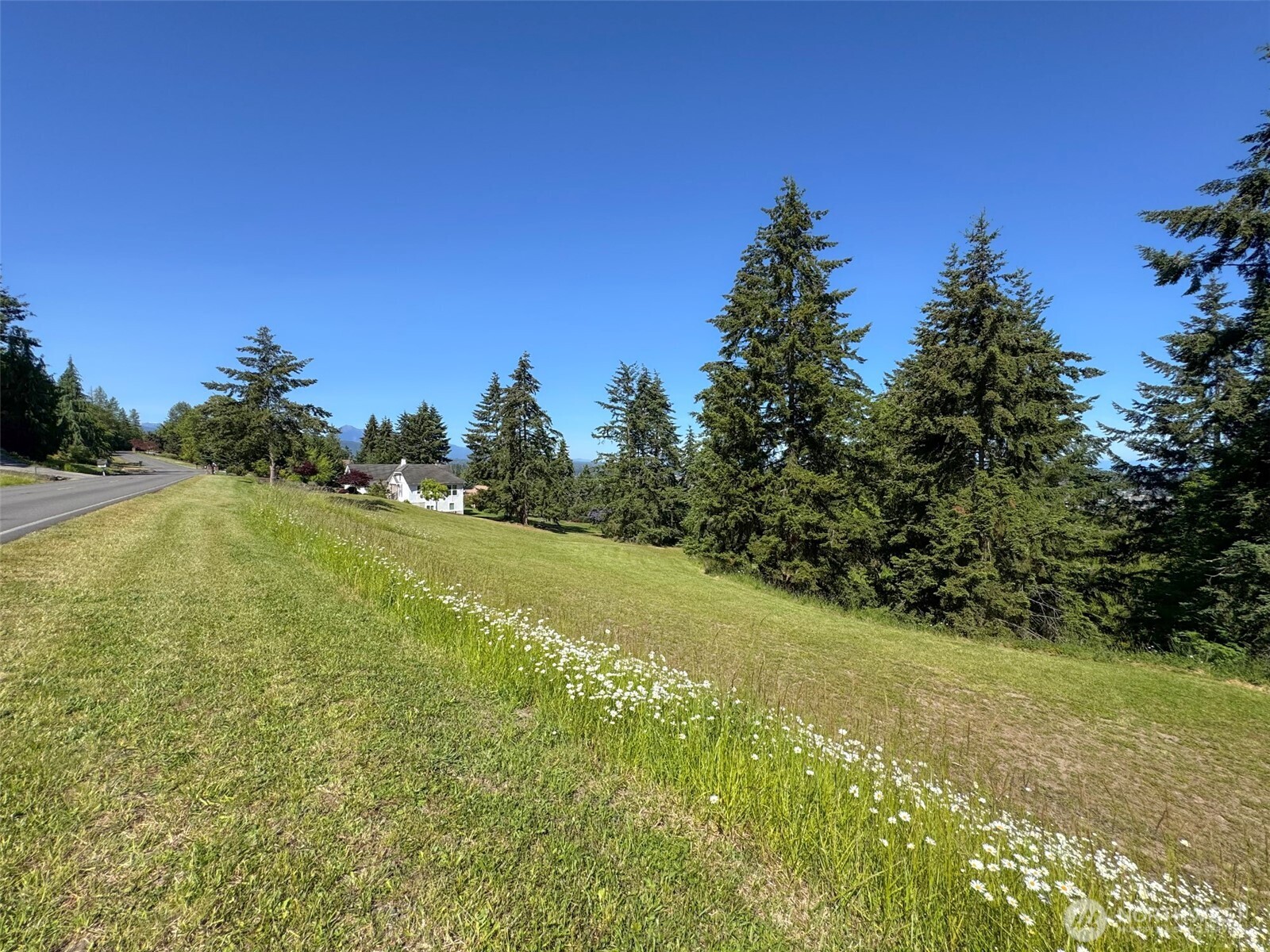 -nka Owls Nest Road Sequim, WA 98382 - Photo 15 of 38 a view of a field with an ocean