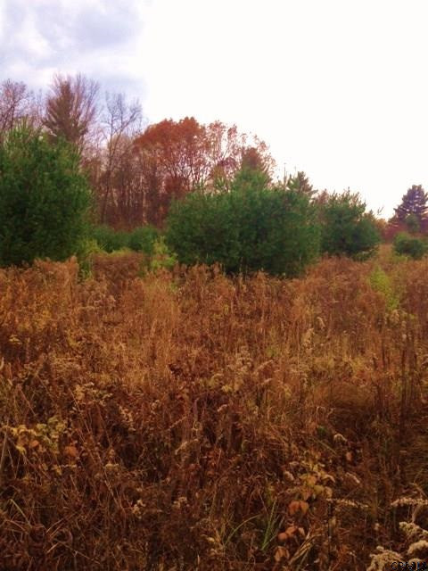 Meehan Road Mechanicville, NY 12118 - Photo 1 of 10 Photo 1