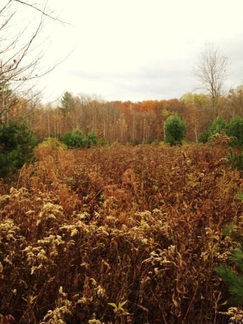 Meehan Road Mechanicville, NY 12118 - Photo 2 of 10 Photo 2