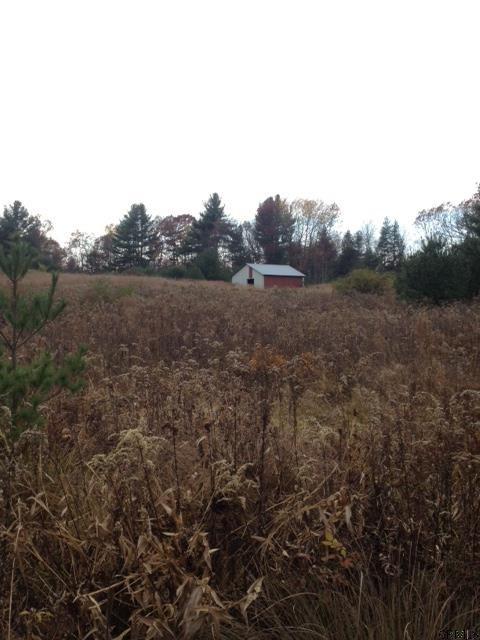 Meehan Road Mechanicville, NY 12118 - Photo 3 of 10 Photo 3