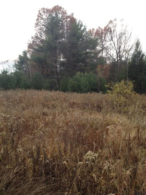 Meehan Road Mechanicville, NY 12118 - Photo 4 of 10 Photo 4