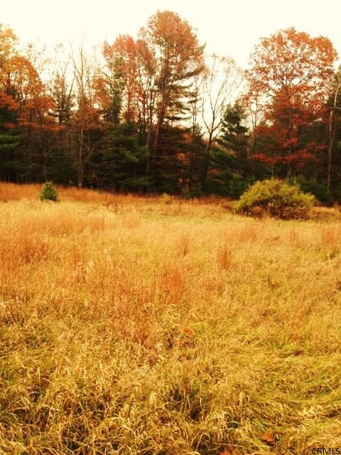 Meehan Road Mechanicville, NY 12118 - Photo 5 of 10 Photo 5