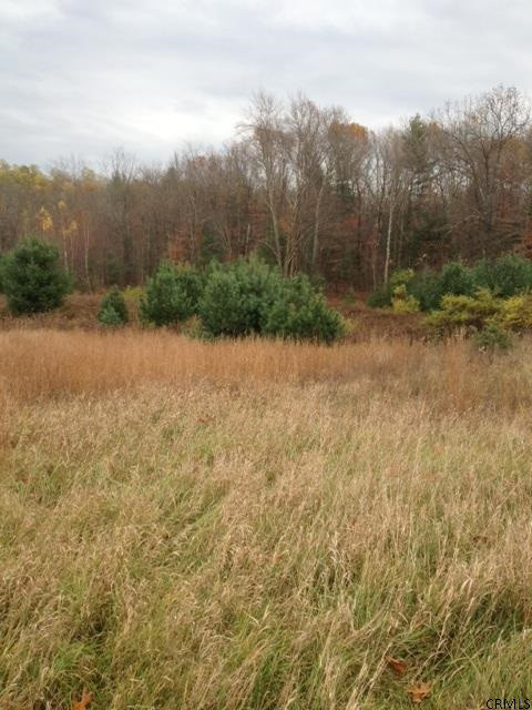 Meehan Road Mechanicville, NY 12118 - Photo 6 of 10 Photo 6